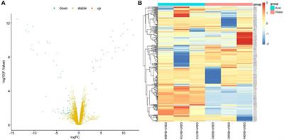 Gene Cascade Shift and Pathway Enrichment in Rat Kidney Induced by Acarbose Through Comparative Analysis